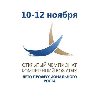 Этапы работы старшего вожатого. Профессиональные компетенции вожатого. Аналитические компетенции. Компетенция вожатская деятельность. Презентация портрет идеального вожатого.